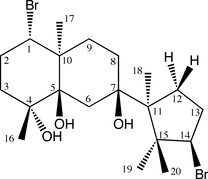 [Contents scheme]