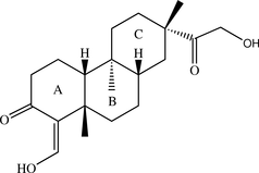 [Contents scheme]