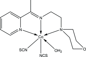 [Contents scheme]