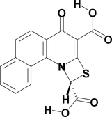 [Contents scheme]
