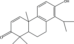 [Contents scheme]