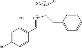 [Contents scheme]