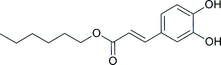 [Contents scheme]