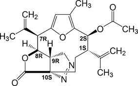 wn2456 scheme