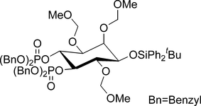 [Contents scheme]