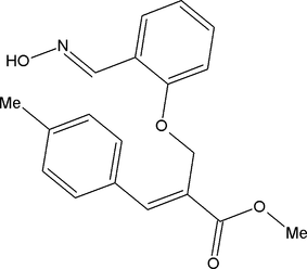 [Scheme 1]