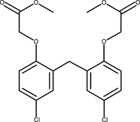 [Contents scheme]