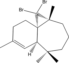 [Contents scheme]