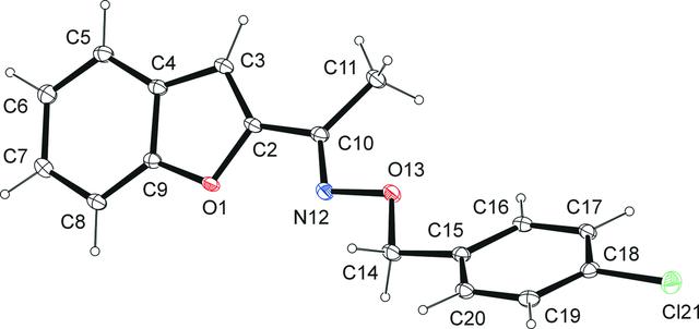 [Figure 1]