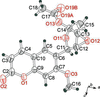 [Figure 1]