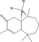[Contents scheme]
