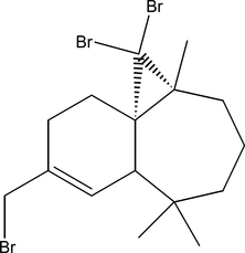 [Contents scheme]