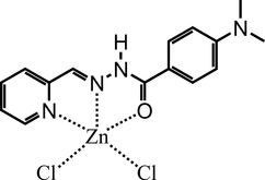 [Contents scheme]