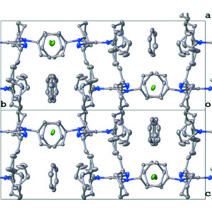 IUCr Crystal Structure Of N Butyl 2 3 Bis Dicyclohexylamino