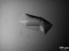 [Figure 1]