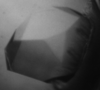 [Figure 1]