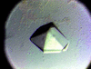 [Figure 2]