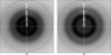 [Figure 2]