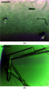 [Figure 1]