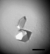 [Figure 2]