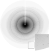 [Figure 3]