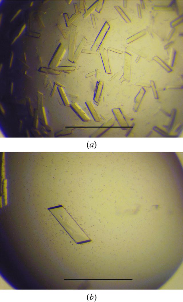 [Figure 1]