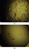 [Figure 1]