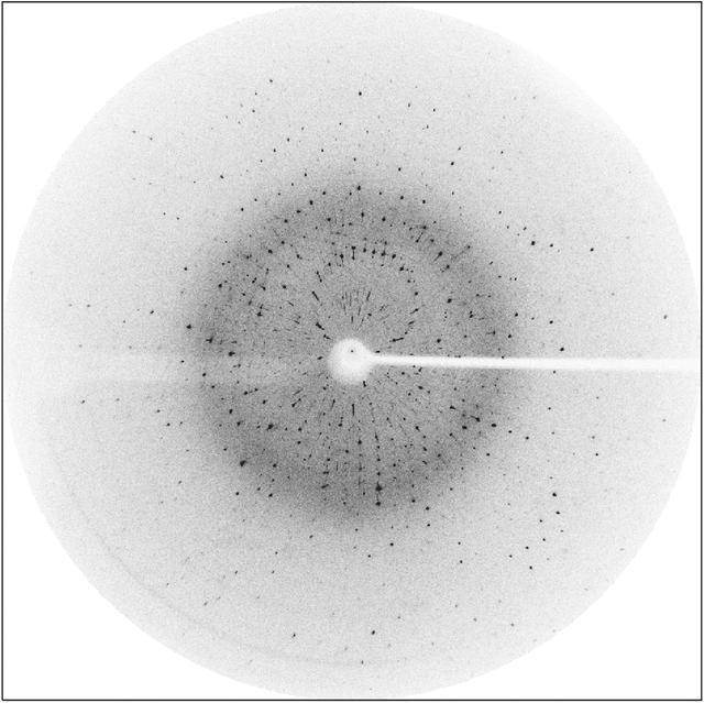 [Figure 2]