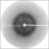 [Figure 2]
