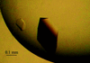 [Figure 3]
