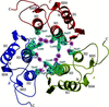 [Figure 1]