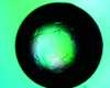 [Figure 1]