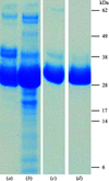 [Figure 1]