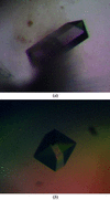 [Figure 1]