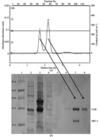 [Figure 1]