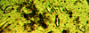 [Figure 2]