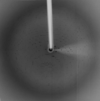 [Figure 2]