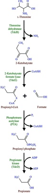 [Figure 1]
