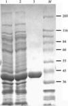 [Figure 2]