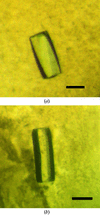[Figure 3]