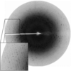 [Figure 4]