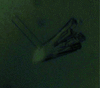 [Figure 3]