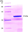 [Figure 1]