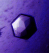 [Figure 2]