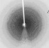 [Figure 3]