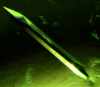 [Figure 1]