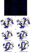 [Figure 1]