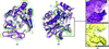 [Figure 1]