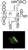 [Figure 1]