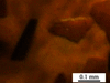 [Figure 2]